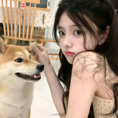 猫咪心动奇迹